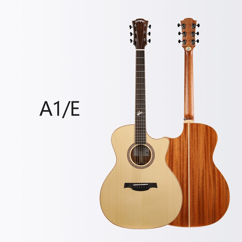 A1